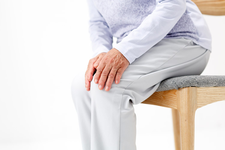 膝の疾患イメージ